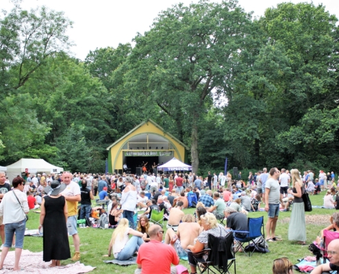 Festivalveld Cultuurpark De Hout tijdens orkestenmiddag
